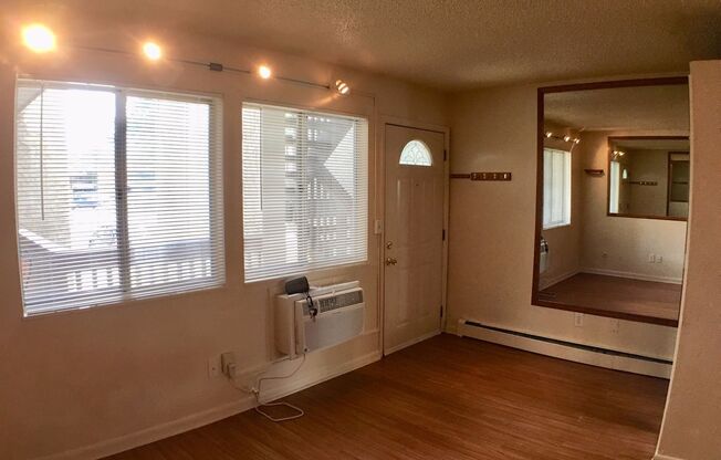Studio, 1 bath, 250 sqft, $1,195, Unit 208