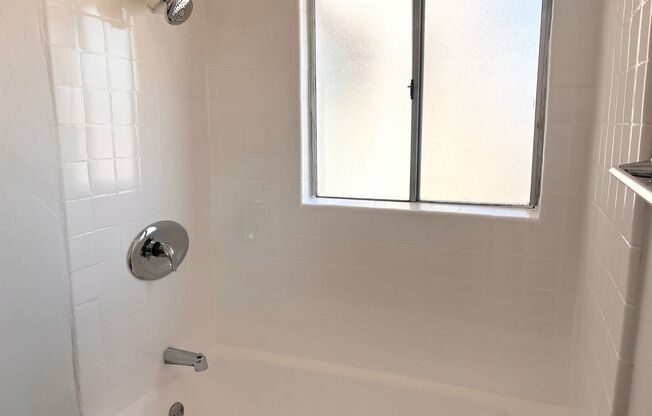 Studio, 1 bath, $1,399, Unit 301