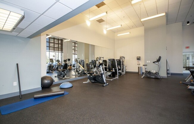 2 beds, 2 baths, 1,014 sqft, $4,100, Unit 1521