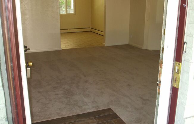 Spacious 4 bedroom 2 bath house with large backyard!
