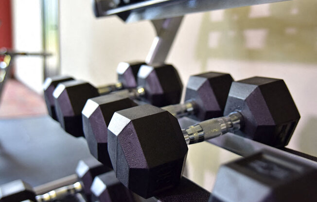 Free Weights at Fitness Center at Irene Woods Apartments, Tennessee, 38017