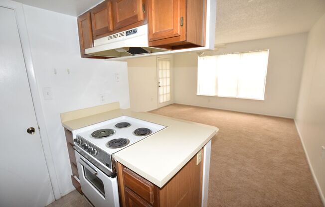 1 bed, 1 bath, $1,100