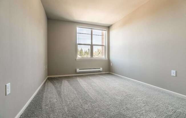 A room with a carpeted floor and a window.