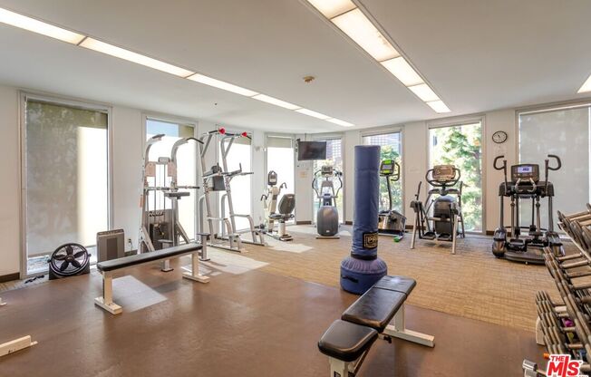 2 beds, 2 baths, 1,172 sqft, $4,550, Unit 1105