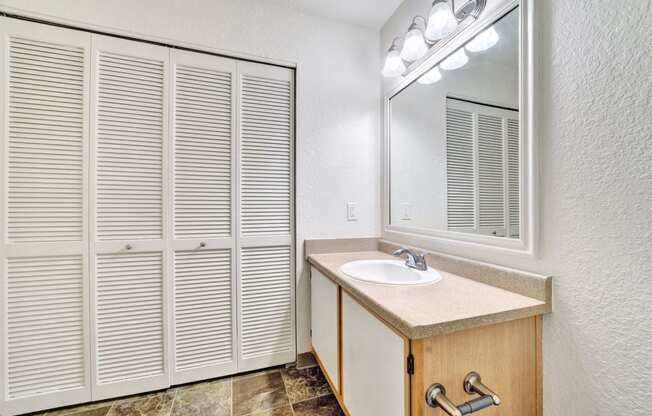 a bathroom with a sink and a mirror and a closet