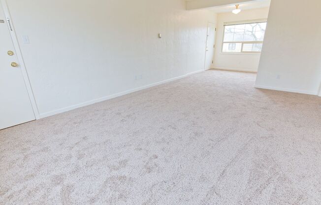 1 bed, 1 bath, 630 sqft, $1,425, Unit 4111 - 3