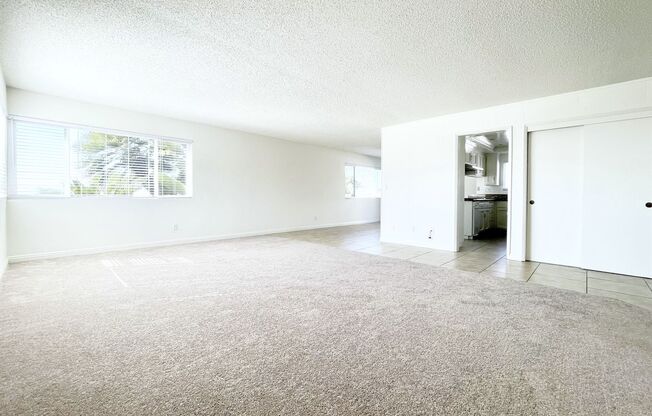 Spacious Beach Front Unit with Ocean Views!