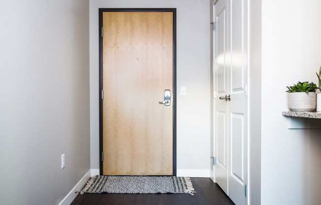 Inviting apartment entrance with stain-resistant flooring adds a practical and stylish touch, creating a welcoming and low-maintenance entryway.