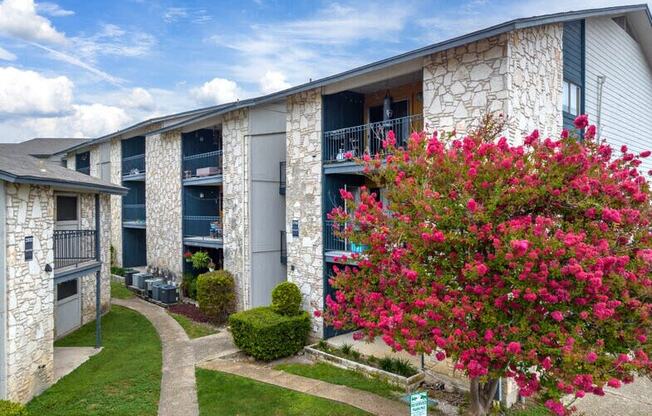 a building with a pink flowering tree in front of it