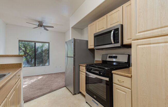 1 bed, 1 bath, $1,250