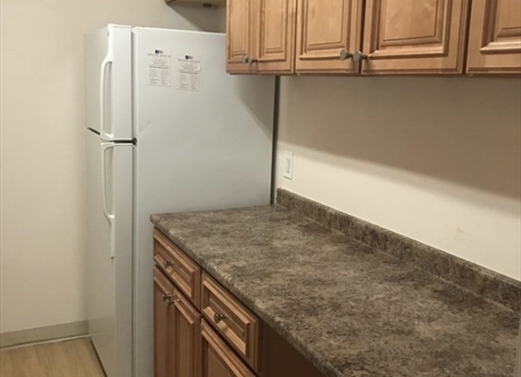 1 bed, 1 bath, 870 sqft, $2,995, Unit 203