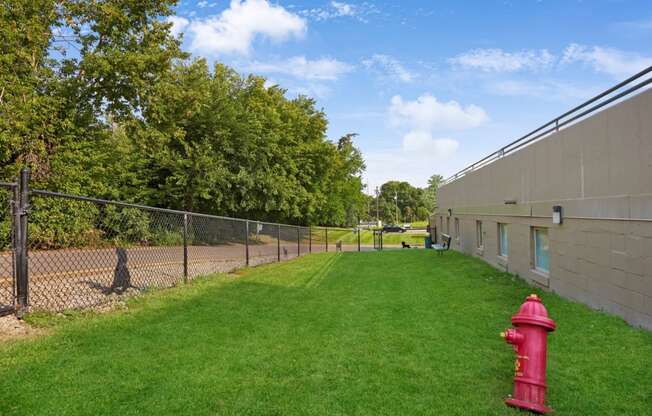 a red fire hydrant in the grass next to a chain link fence