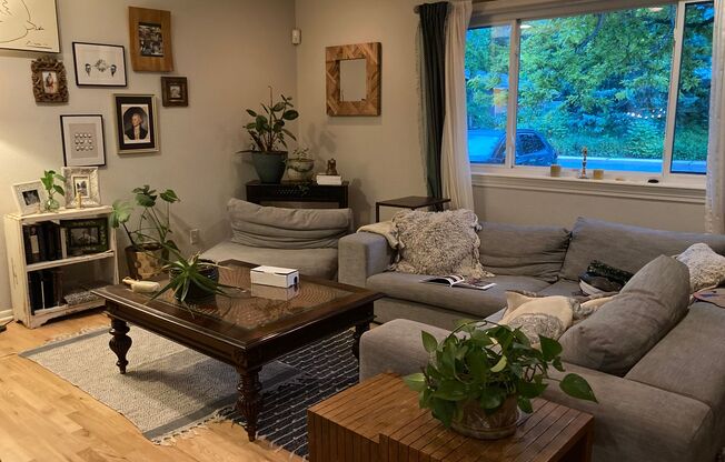 South Boulder 3B 2Ba Gem! Available August 15!