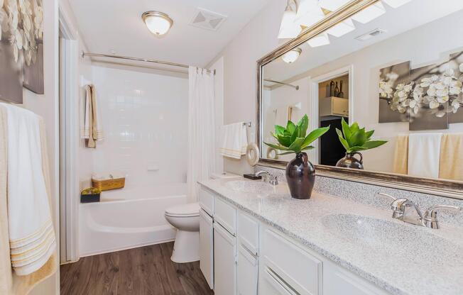 1 bed, 1 bath, 1,024 sqft, $1,260
