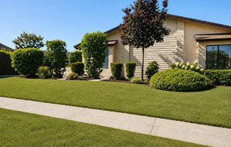 Summer Special $200 OFF!!!! 1st month rent!!!!