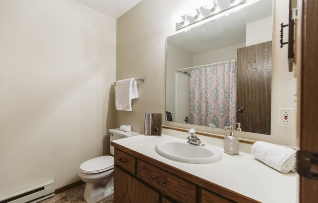 Grand Forks Harrison Apartments. A bathroom with a sink and a toilet and a mirror