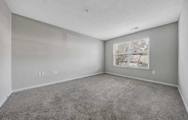 A room with grey carpet and a picture on the wall.