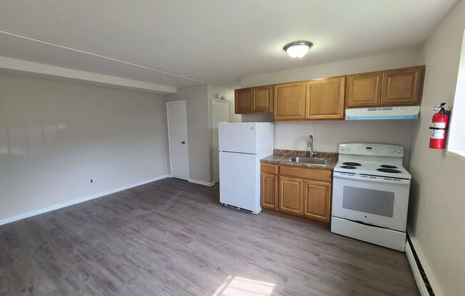 2 beds, 1 bath, $1,250, Unit A1