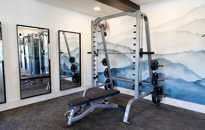 A gym with a mountain mural on the wall.