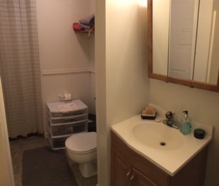 1 bed, 1 bath, $850