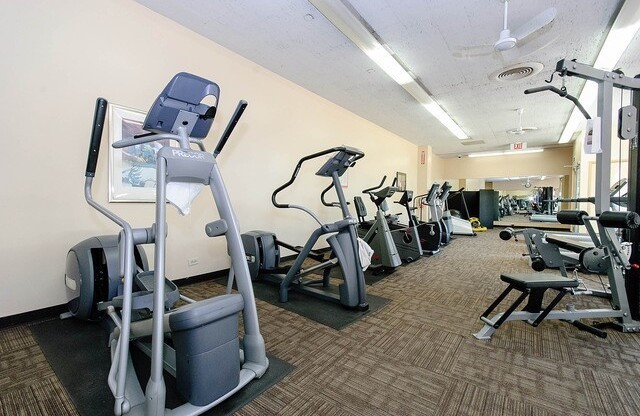Nice 1 bedroom Condo in Gold Coast/Old Town