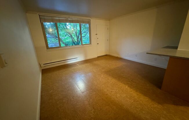 Studio, 1 bath, 425 sqft, $1,395, Unit Unit 09