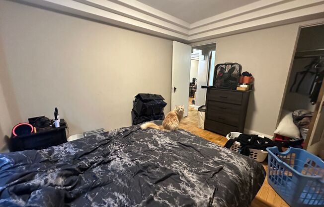 1 bed, 1 bath, $1,095, Unit 104
