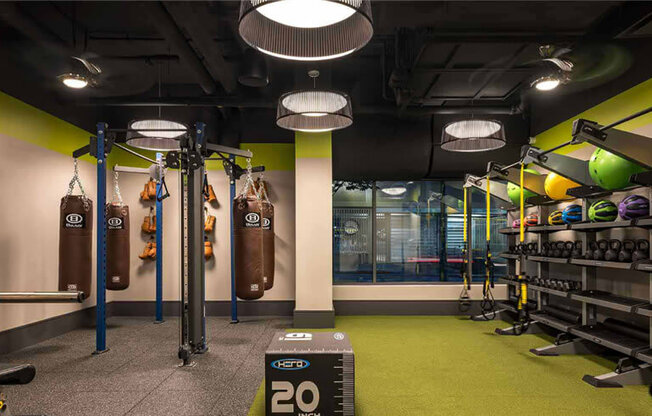 a workout room with green carpet and a row of punching bags on the wall at Shearwood Station, New York, 10801