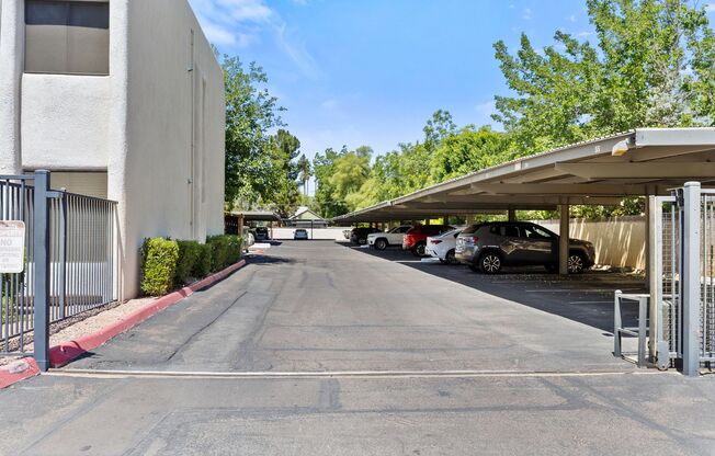 1 bed, 1 bath, $1,195, Unit MV A17