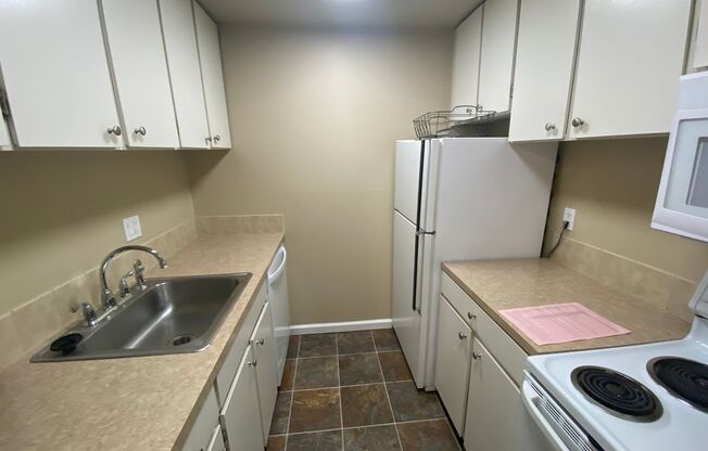 1 bed, 1 bath, 528 sqft, $1,445, Unit 103
