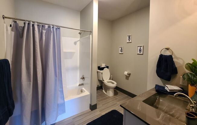 1 bed, 1 bath, 780 sqft, $1,675, Unit 520-210