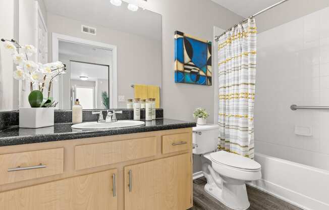 our apartments offer a bathroom with a tub