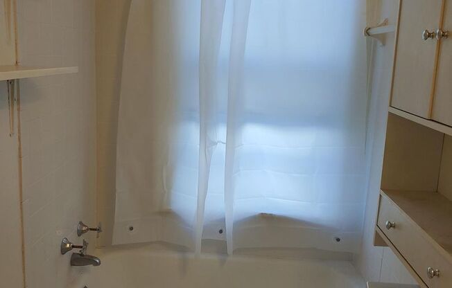 Studio, 1 bath, 325 sqft, $900, Unit 101