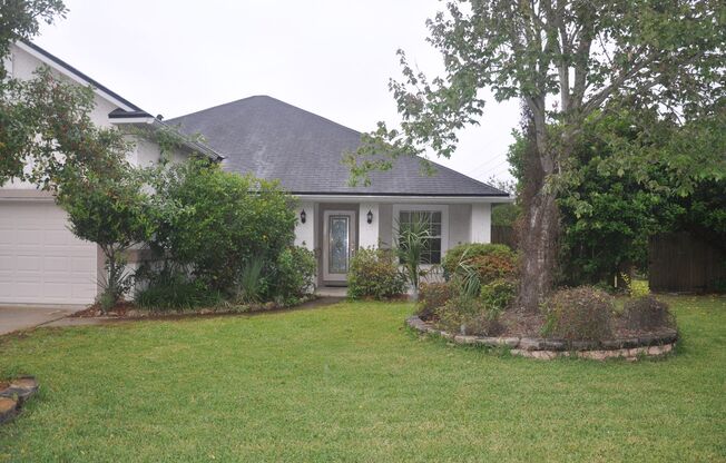 Spacious 4 bedroom in Orange park area