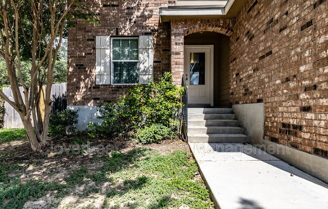 1507 MOURNING DOVE