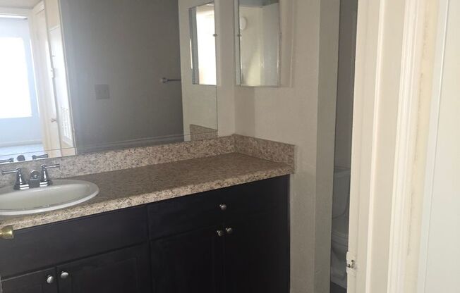 1 bed, 1 bath, 709 sqft, $900, Unit PG 0804