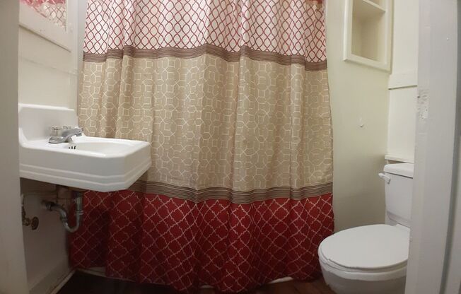 Cozy 1 bed 1 bath Near Park and Olympic College