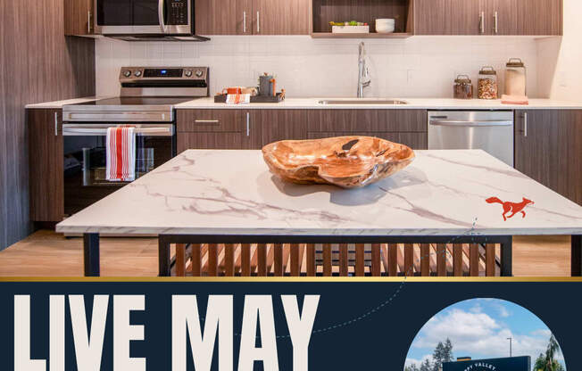 A kitchen with a sign that says "LIVE MAY RENT FREE!"