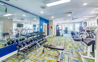 Evergreen Lenox Park Apartments fitness center gym