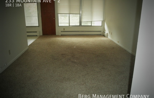 233 MTN AVE