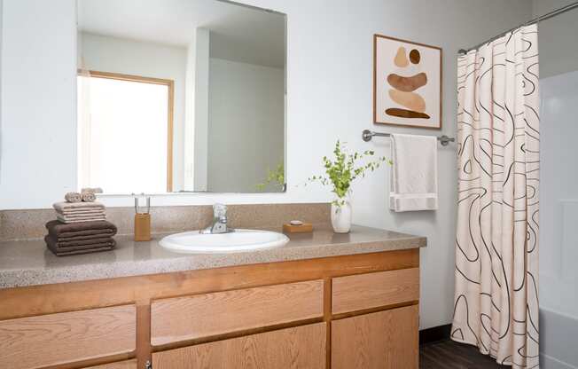 a bathroom with a sink and a mirror and a shower curtain