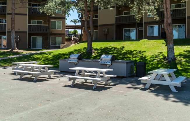 BBQ area and picnic tables