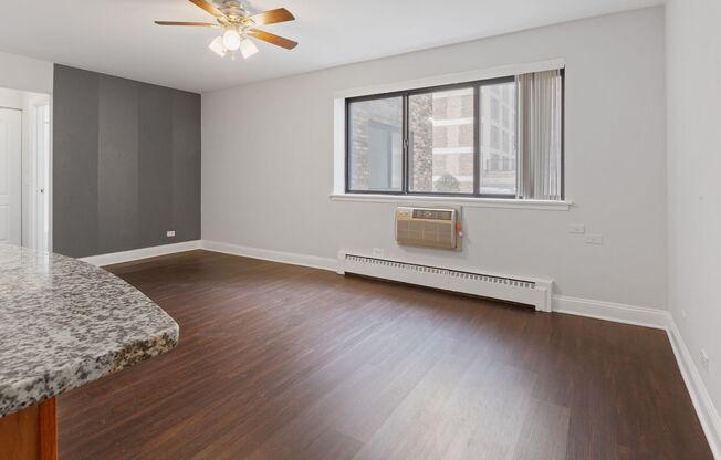 Studio, 1 bath, 336 sqft, $1,450, Unit 205