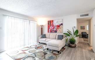 a living room with a couch and a rug