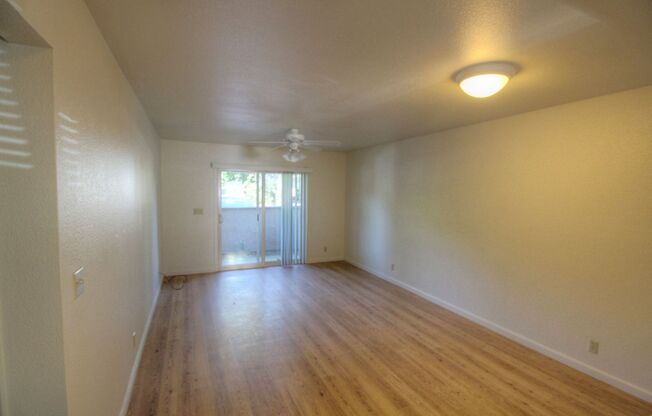 1 bed, 1 bath, 695 sqft, $1,950, Unit 425