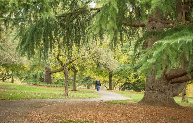 Multnomah Village Portland, Oregon Park