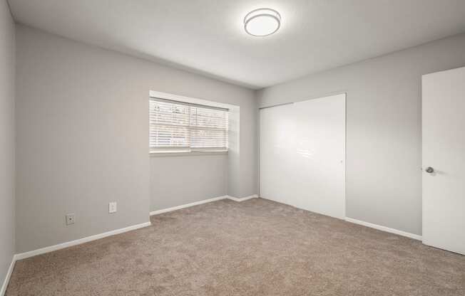 Bedroom with carpeting and grey walls