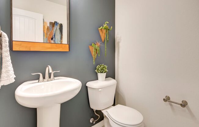 3 Bedroom 2 1/2 Bath in West Fort Collins