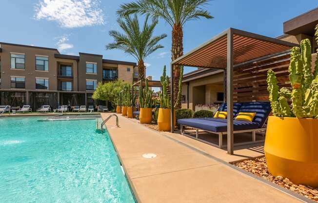 A pool area with a bench and a cactus.