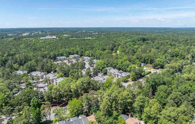 A bird's eye view of a residential area surrounded by dense green trees.